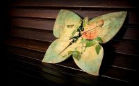 Ceas fluture