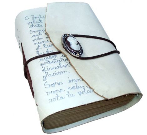 jurnal cu camee