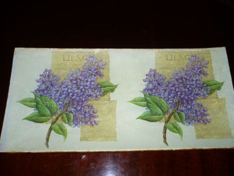 Platou liliac