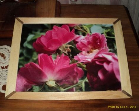 Tablou trandafiri culoare roz 1