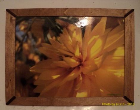 Tablou floare galbena 1