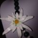 Set "Floare de colt" S01 - vandut