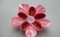 Brose - Flori deosebite