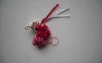 Zambile rosii. Martisor