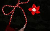 Set Buchet de Cale Alb-Rosu