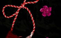 Set Buchet de Cale Mov