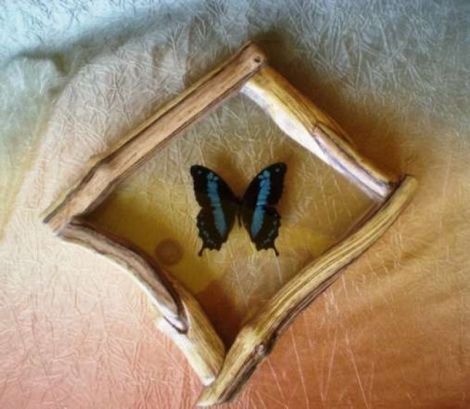 Tablou fluture natural