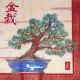 Servetel Bonsai