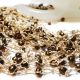 Colier crosetat Sand Beige