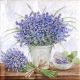 Servetel Lavanda 4