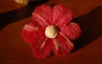 Elastic par Flower Power V