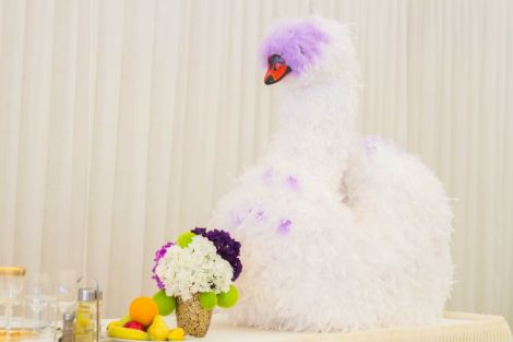 Lebada superba cu pene naturale pentru nunta