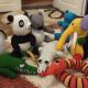 Urs panda