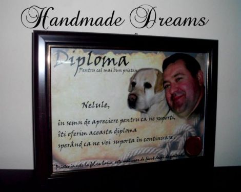 DIPLOME