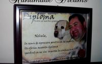 DIPLOME