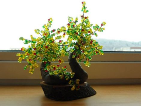  Copacei Feng Shui