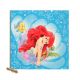 Tablou Mica Sirena
