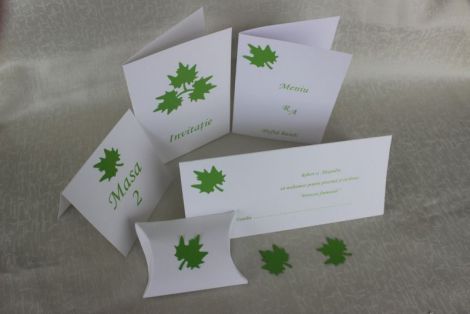 Cod produs SN 1 - SET COMPLET NUNTA INVITATIE..