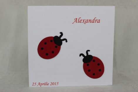 Invitatii botez buburuze