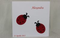 Invitatii botez buburuze