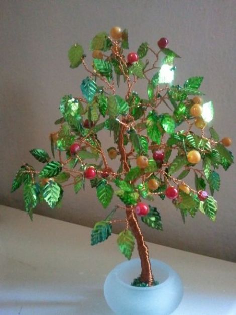 Copacel pomisor bonsai