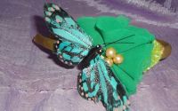 Coronita Butterfly in Springtime