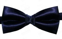 Papion bleumarin pentru ocazii speciale