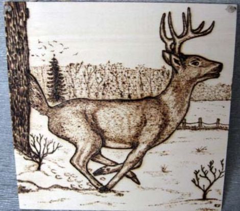 "cerb urmarit de vanatori"