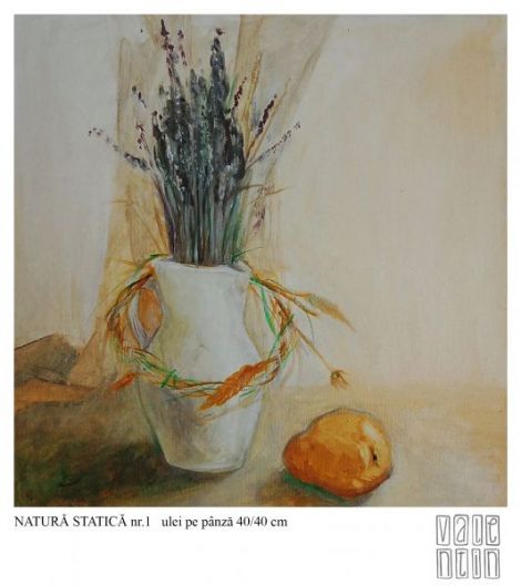 Natura statica