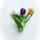 Branduse - brosa buchet flori