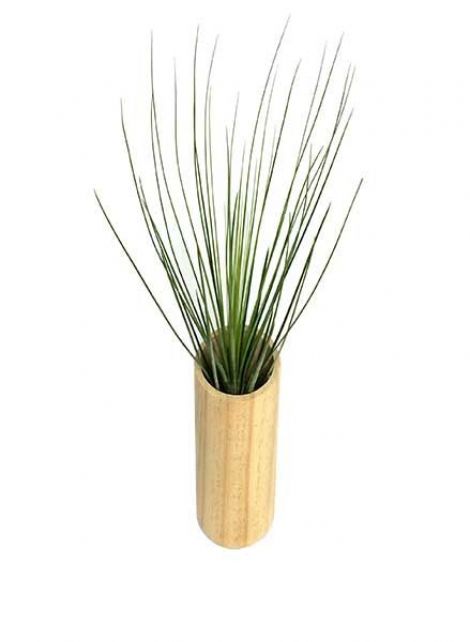 Suport cilindric lemn natur plante aeriene
