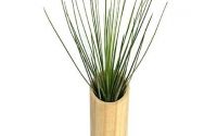Suport cilindric lemn natur plante aeriene