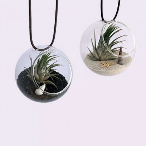 Set 2 globuri sticla plante aeriene