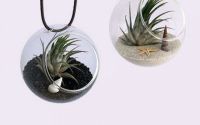 Set 2 globuri sticla plante aeriene