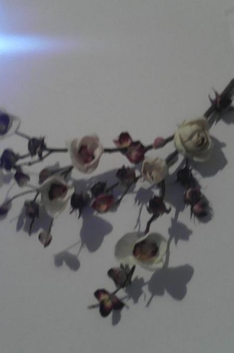 crenguta decorativa