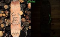 Arta pe skateboard