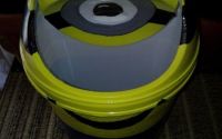 Cos gunoi minion !