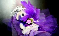 buchet urs plus