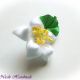 Steluta alb - brosa floare stea