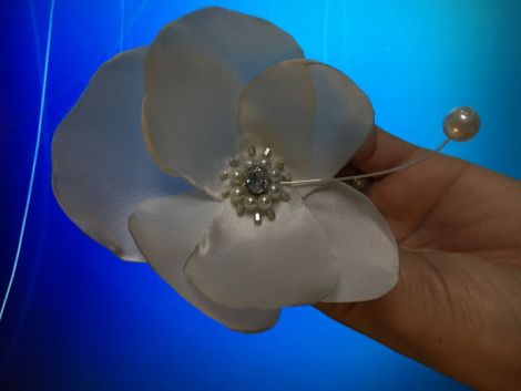 Brosa "white orchid"