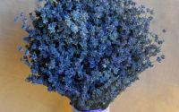 Buchet de mireasa cu lavanda uscata
