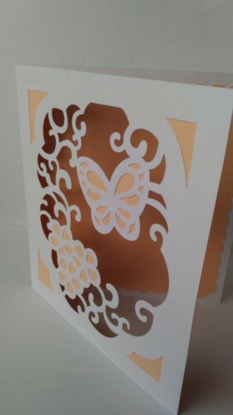 Felicitare rama fluture