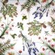 Servetel Plante Aromatice