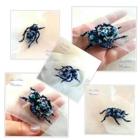 Brosa insecta