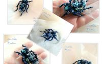 Brosa insecta