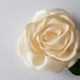 Brosa Trandafir Ivory