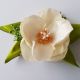 Brosa Floare 01