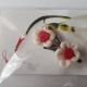 Brosa floare 08
