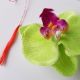 Brosa-martisor1