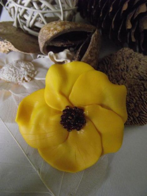 Brosa Sun Flower